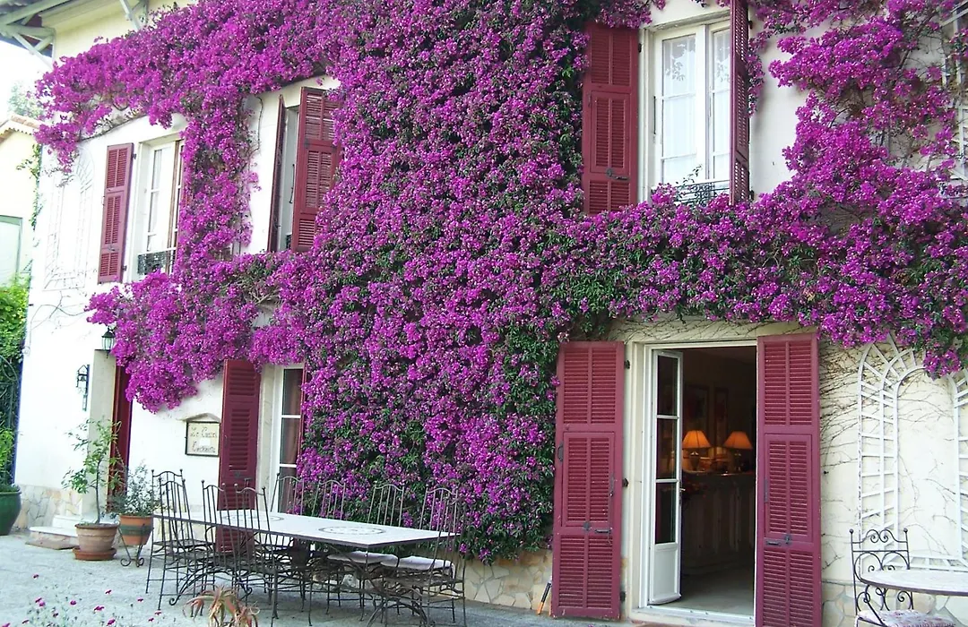 Castel Enchanté-1